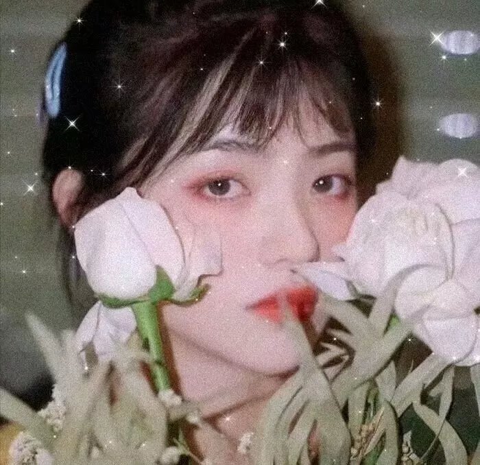 赛车手妮卡